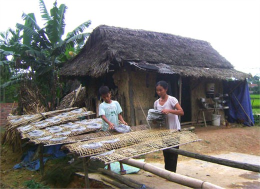 A poor lady in Vietnam, who produces rice paper to create daily income to feed her family. She wishes to get cheap loans to expand her small business.